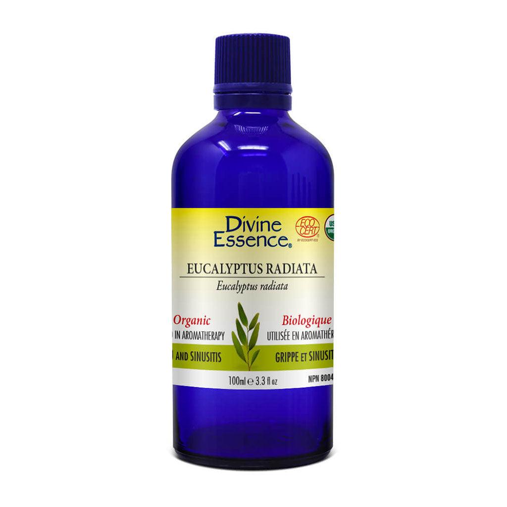 Eucalyptus Radiata Biologique Divine Essence - La Boite à Grains