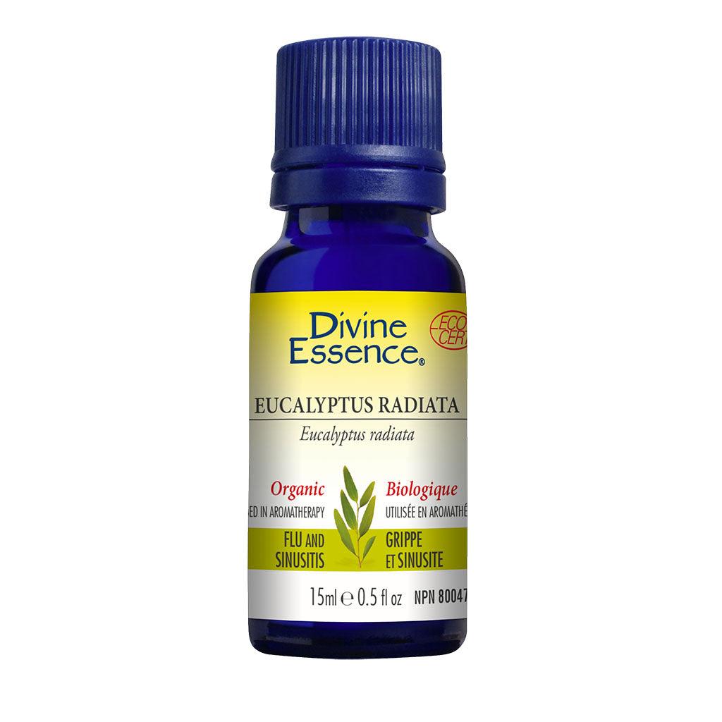Eucalyptus Radiata Biologique Divine Essence - La Boite à Grains