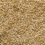 Graines de Lin Doré Biologique Milanaise - La Boite à Grains