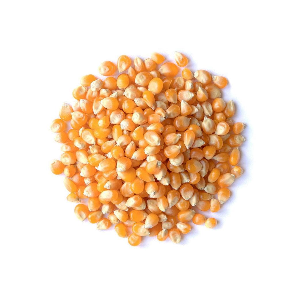 Grains de Maïs à Éclater Biologiques (Vrac) La Boite à Grains Vrac - La Boite à Grains