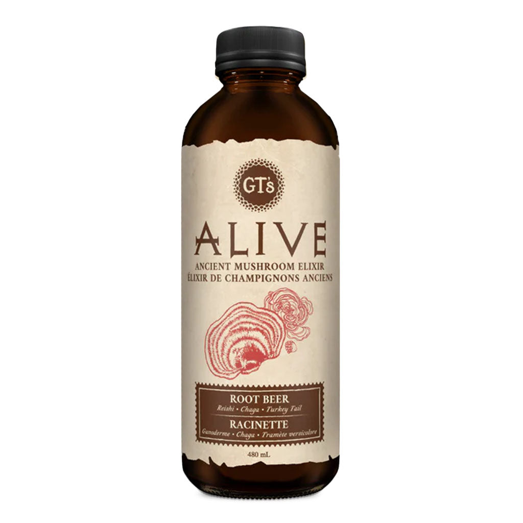 GT'S kombucha alive tonique aux champignons anciens Racinette 480 ml - La Boite à Grains