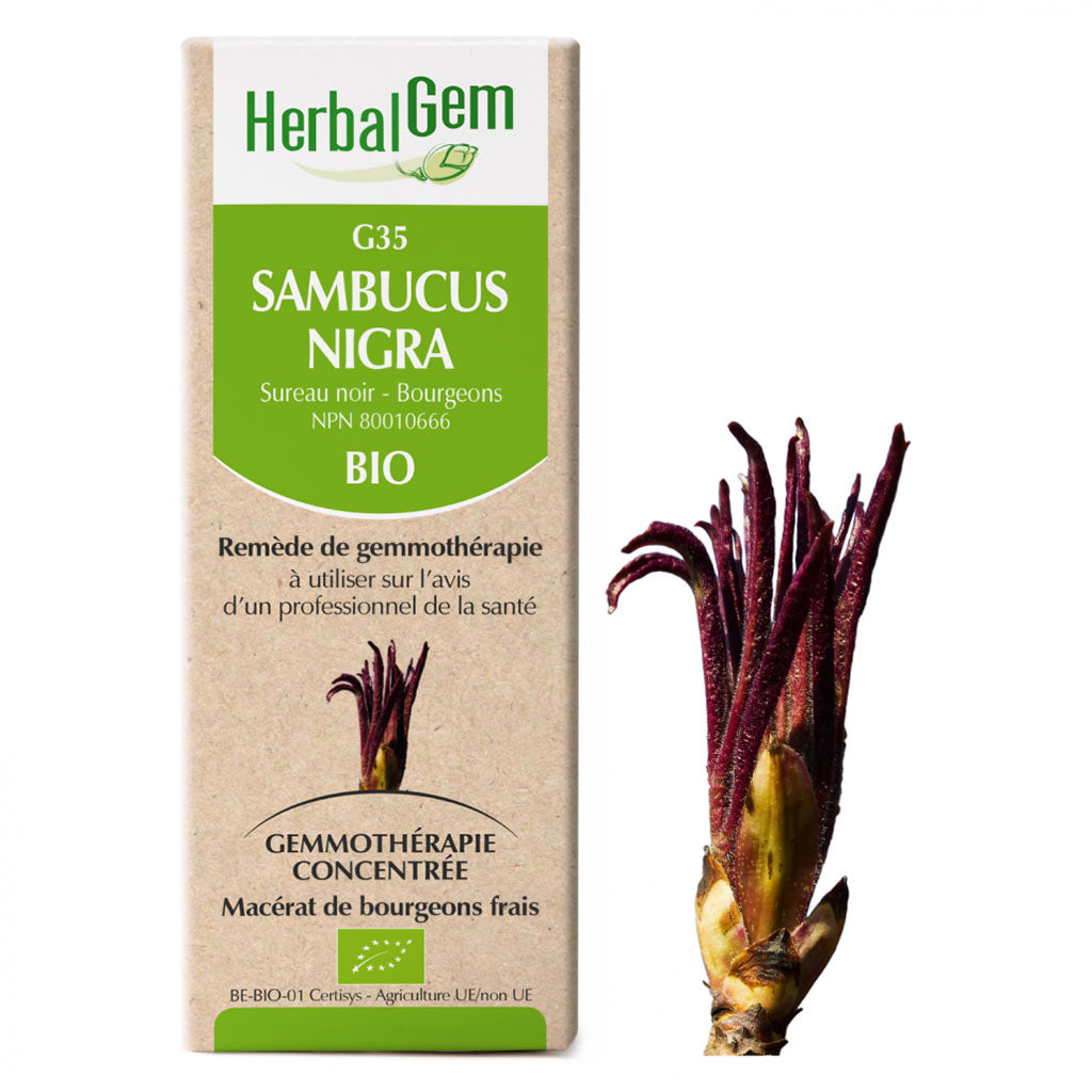 herbalgem g35 sambucus nigra sureau noir bio 15 ml