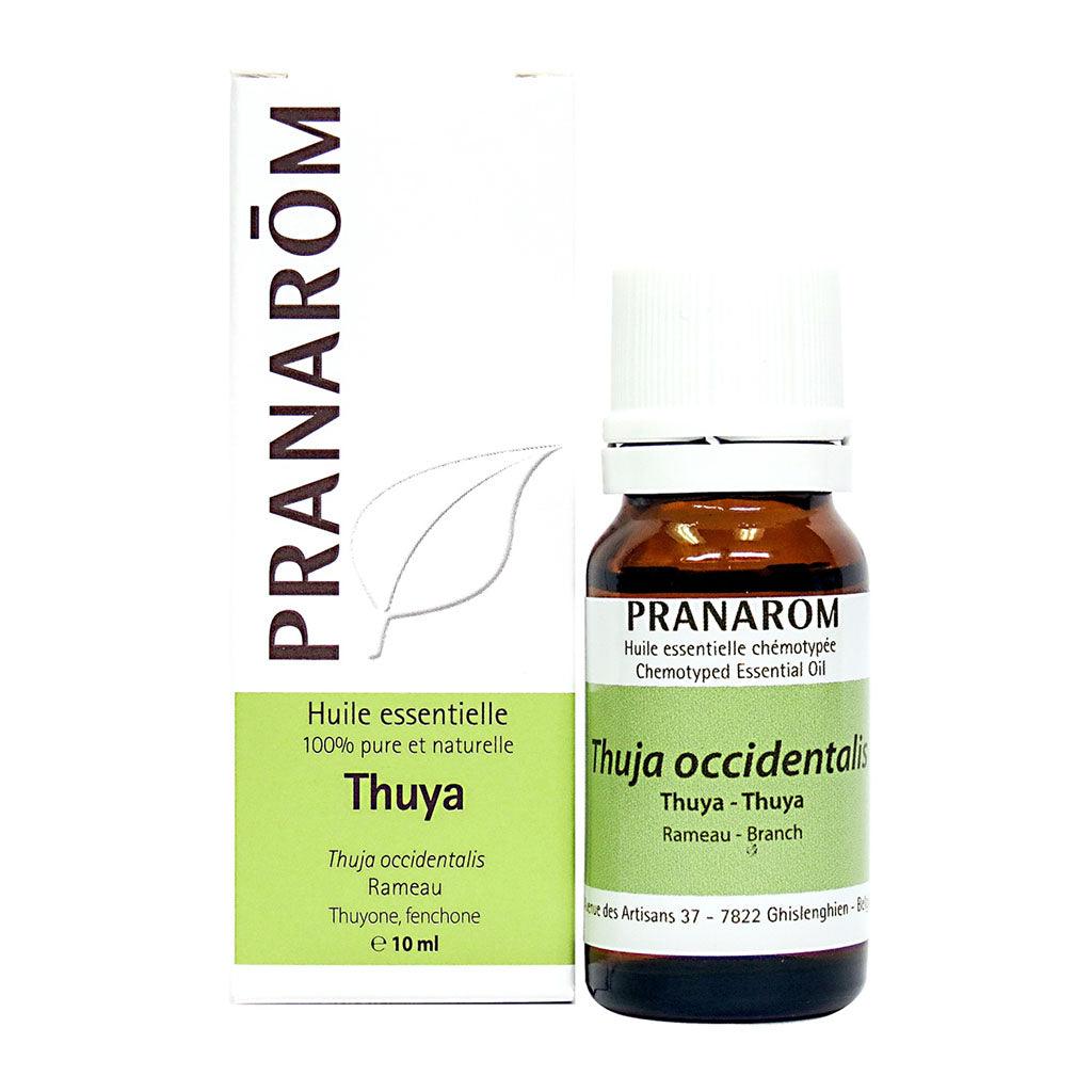 Huile Essentielle de Thuya Pranarôm - La Boite à Grains