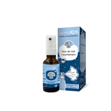 Huiles Essentielles AromaKids Skully J'ai Peur du Noir Les Zamis - La Boite à Grains