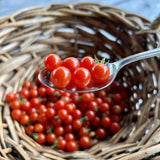 organic Spoon cherry tomato Les Jardins de l'Écoumène - La Boite à Grains