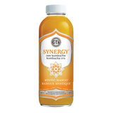 Kombucha Synergy Mangue Mystique Bio GT'S - La Boite à Grains