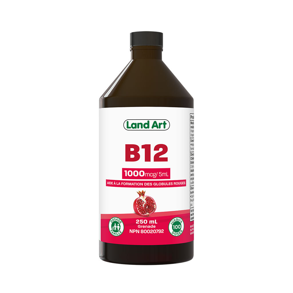 b12 grenade Land Art - La Boite à Grains