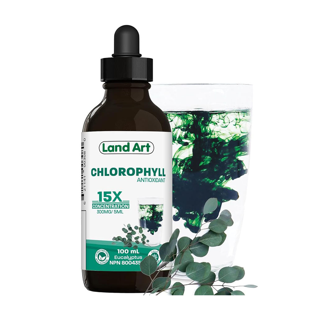Chlorophyll Concentrée 15X Eucalyptus Land Art - La Boite à Grains