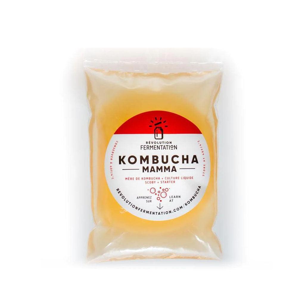 Mamma Kombucha (Mère de Kombucha) Révolution Fermentation - La Boite à Grains