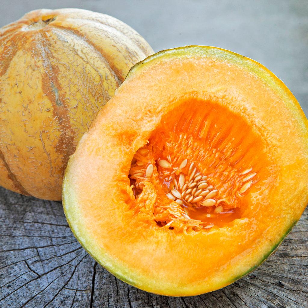Melon Oka Biologique Les Jardins de l'Écoumène - La Boite à Grains