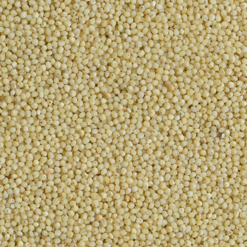 Milanese Organic Hulled Millet - La Boite à Grains
