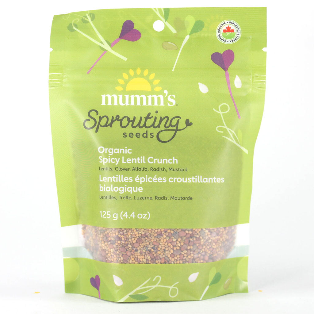 mumm's sprouting seeds lentilles épicées croustillantes biologique - La Boite à Grains