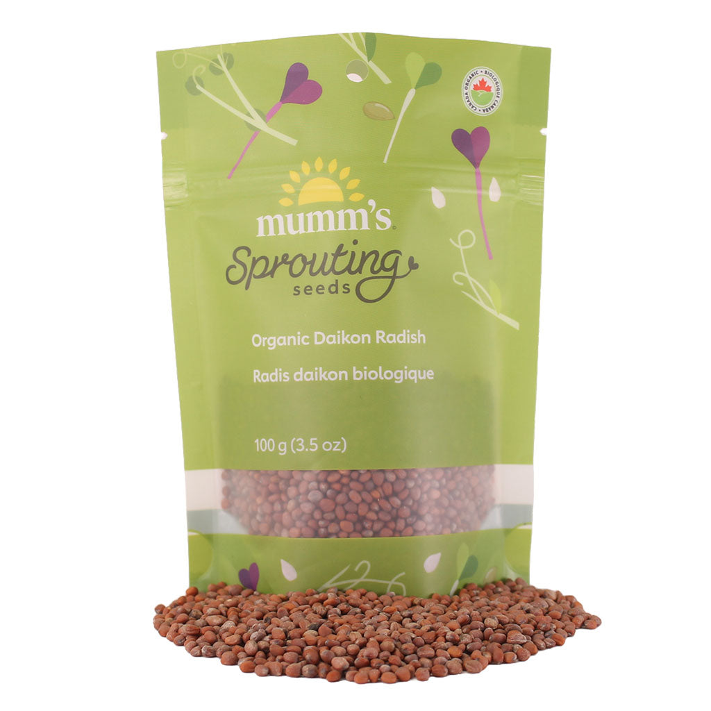 mumm's sprouting seeds radis daikon à germer 100 g - La Boite à Grains