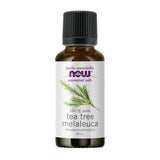 huile essentielle de tea tree melaleuca Now - La Boite à Grains