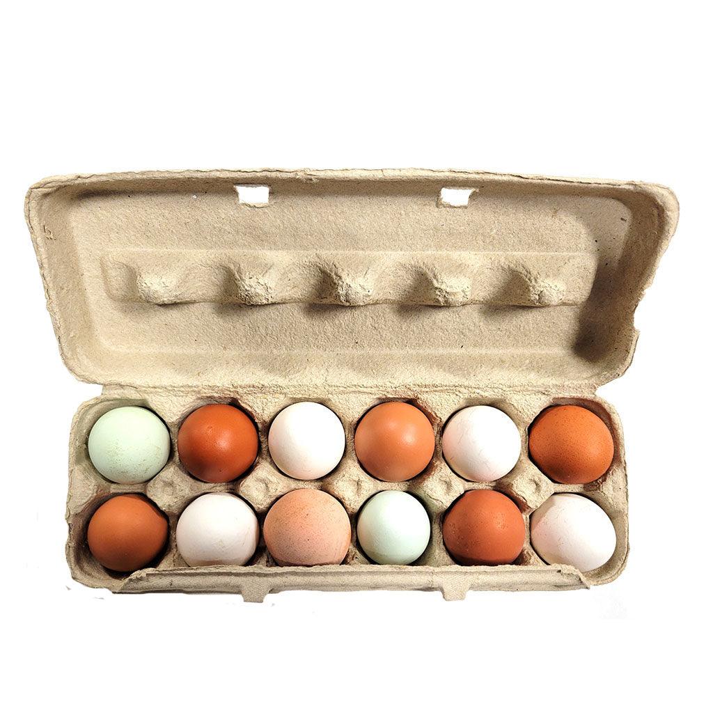 Oeufs Frais Biologiques Multicolores Pure Conscience - La Boite à Grains