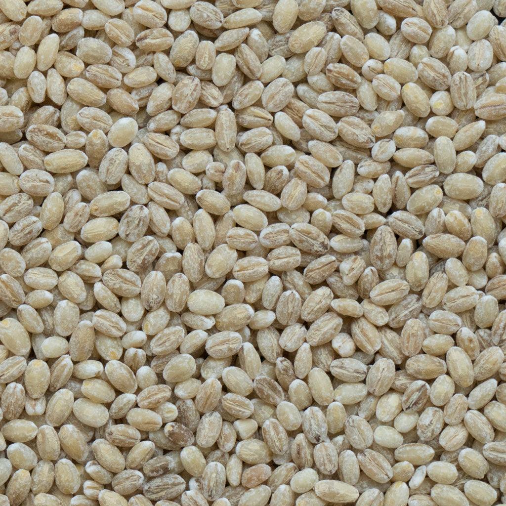 Milanese Organic Hulled Barley - La Boite à Grains