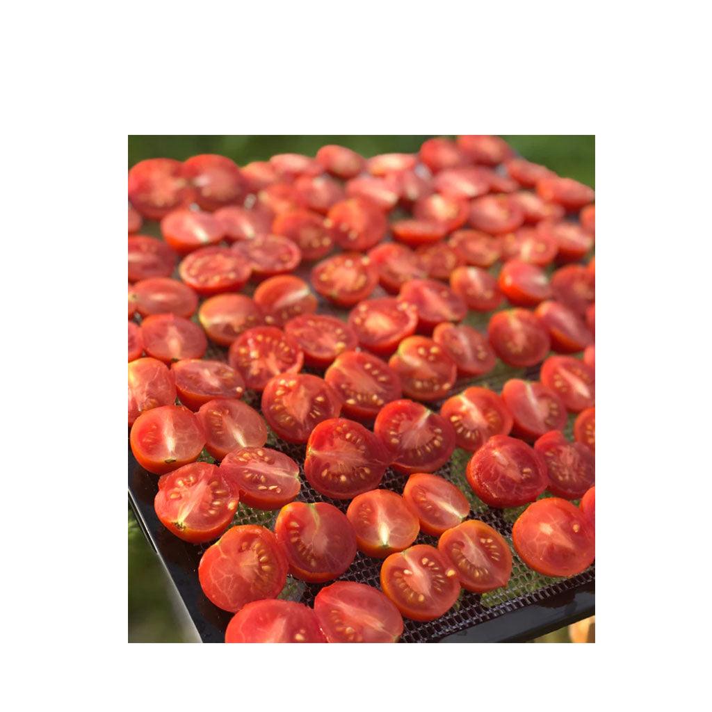 Tomate Italienne Principe Borghese Biologique (Semences) Semences Nordiques