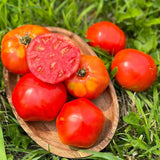 tomate Moscovitch biologique Semences Nordiques - La Boite à Grains