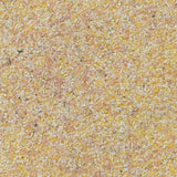 Semoule de Maïs Biologique Milanaise - La Boite à Grains