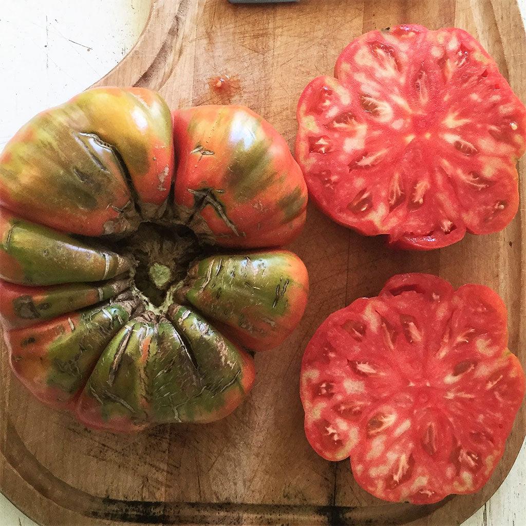 Tomate Adelin Morin Biologique Les Jardins de l'Écoumène - La Boite à Grains