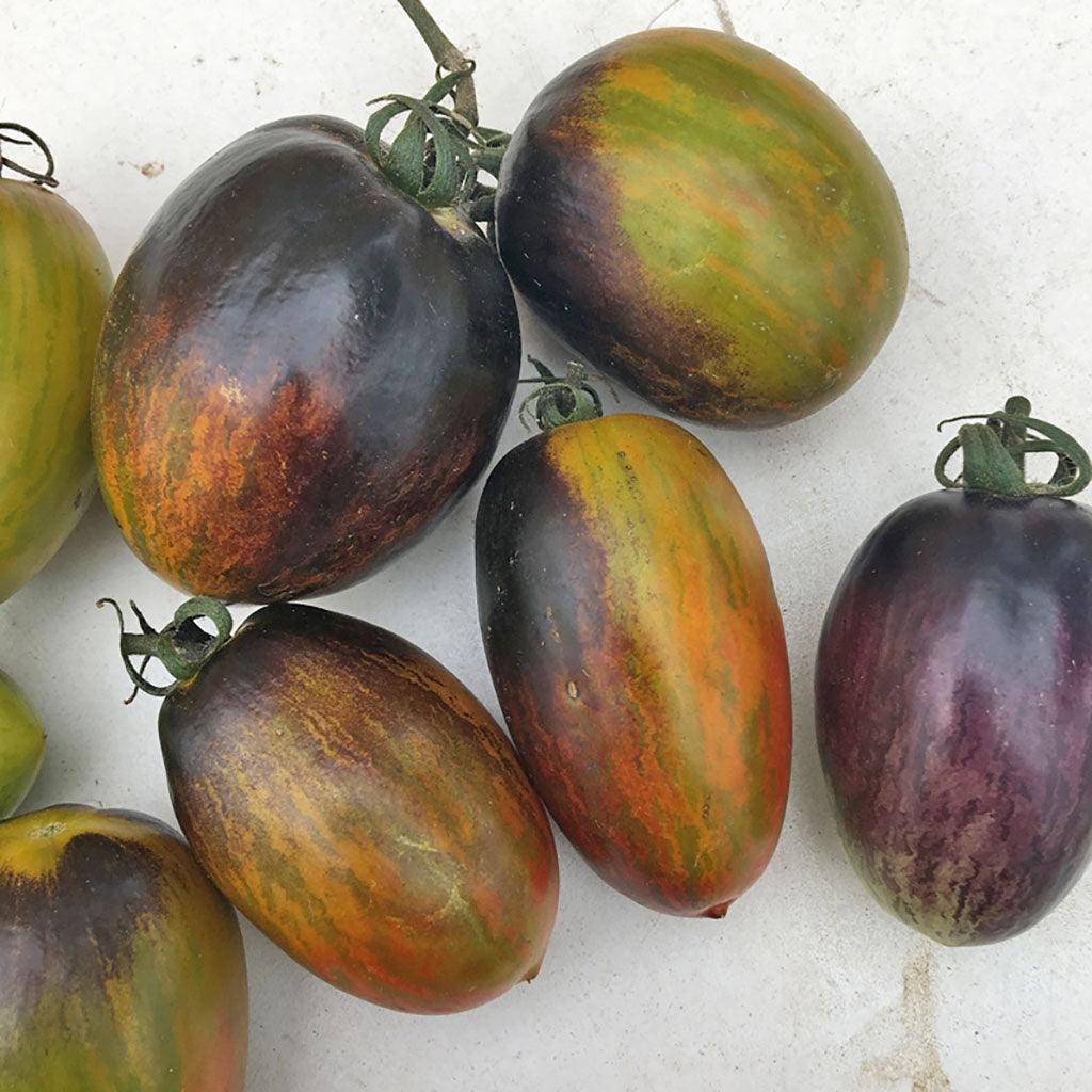 Tomate Brad's Atomic Biologique Les Jardins de l'Écoumène - La Boite à Grains