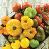 Tomate en Mélange Gros Fruits Biologique Les Jardins de l'Écoumène - La Boite à Grains