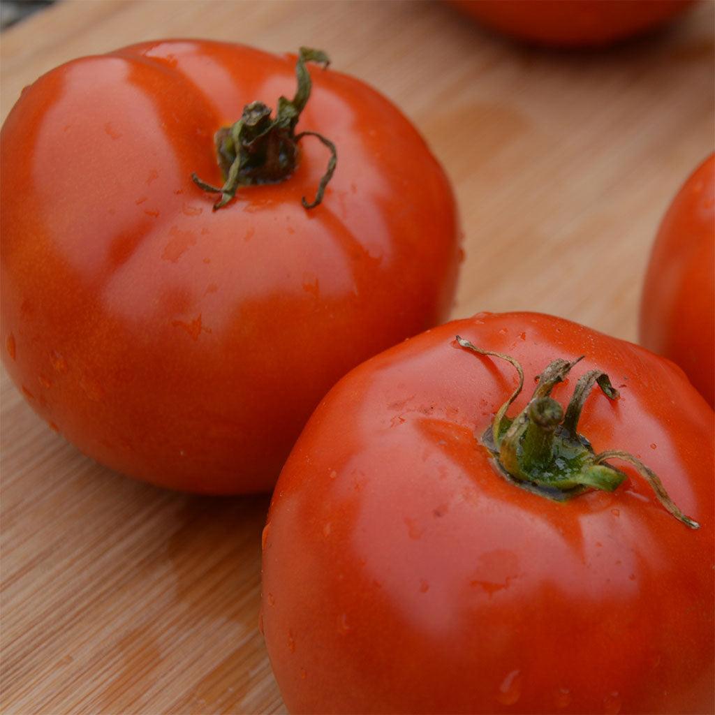 Tomate Manitoba Biologique Les Jardins de l'Écoumène - La Boite à Grains