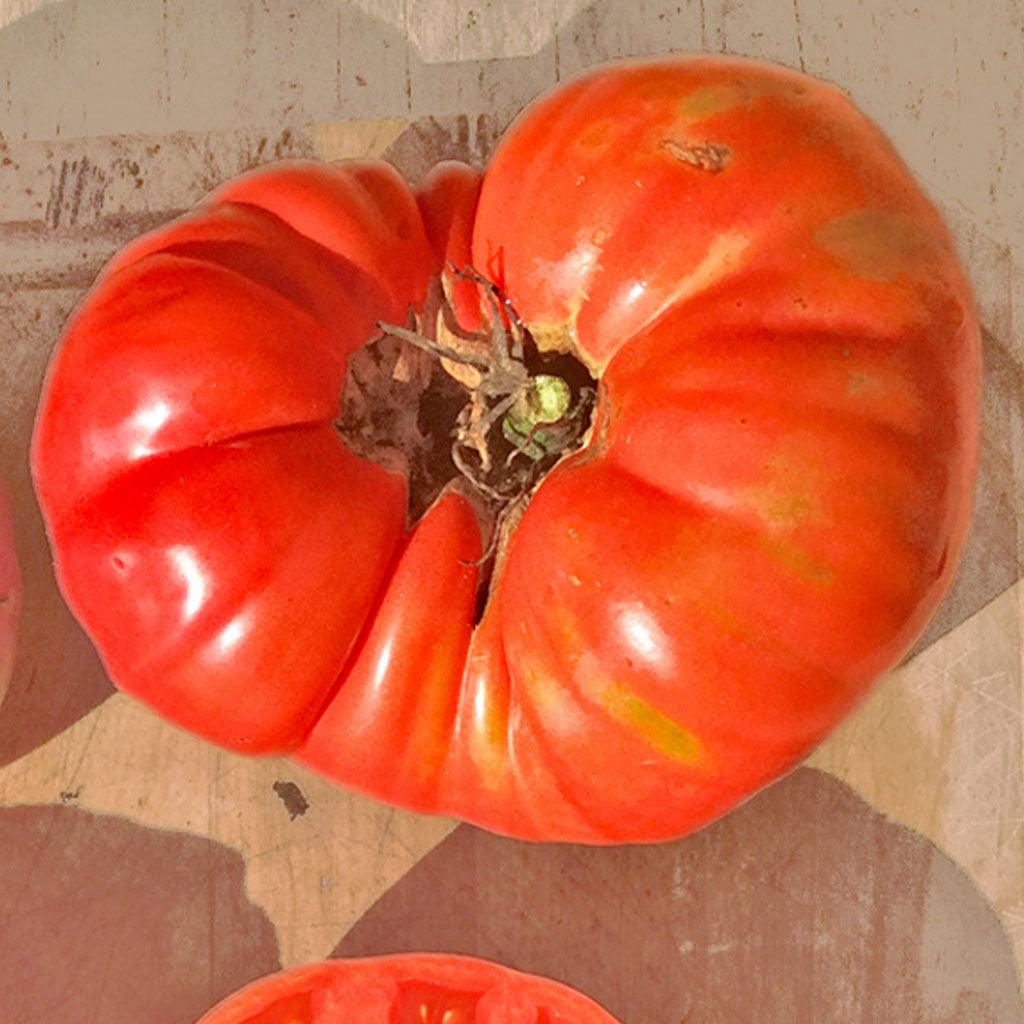 Tomate Mémé de Beauce Biologique Les Jardins de l'Écoumène - La Boite à Grains