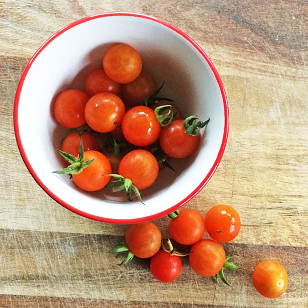 Tomate Petit Moineau Biologique Les Jardins de l'Écoumène - La Boite à Grains