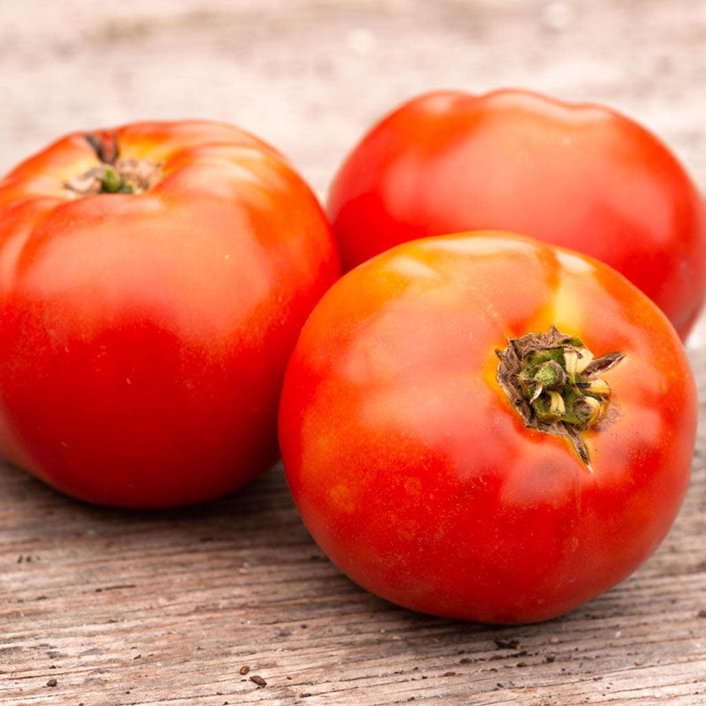 Tomate Plourde Biologique Les Jardins de l'Écoumène - La Boite à Grains