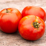 Tomate Plourde Biologique Les Jardins de l'Écoumène - La Boite à Grains