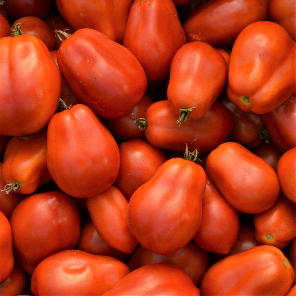 Tomate Roma Biologique Les Jardins de l'Écoumène - La Boite à Grains