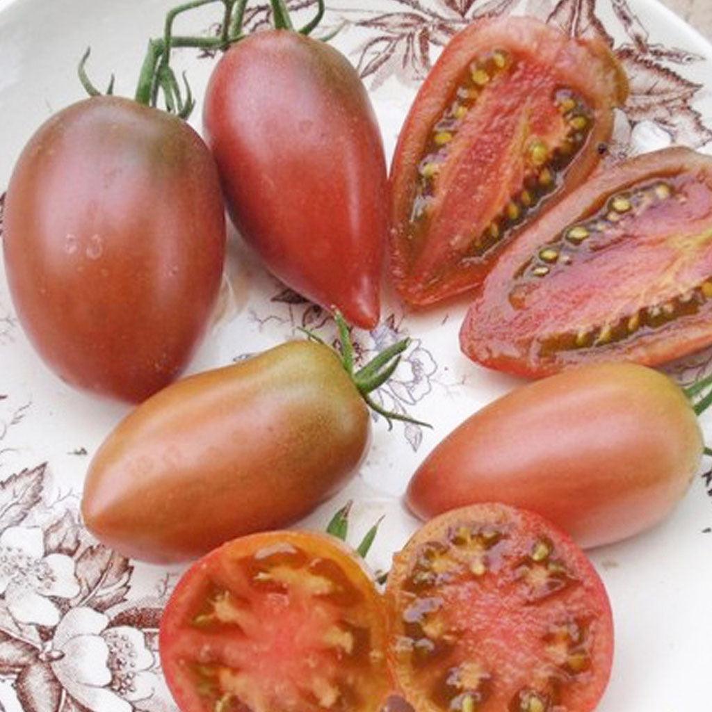 Tomate Ukrainian Purple Biologique Les Jardins de l'Écoumène - La Boite à Grains