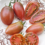 Tomate Ukrainian Purple Biologique Les Jardins de l'Écoumène - La Boite à Grains