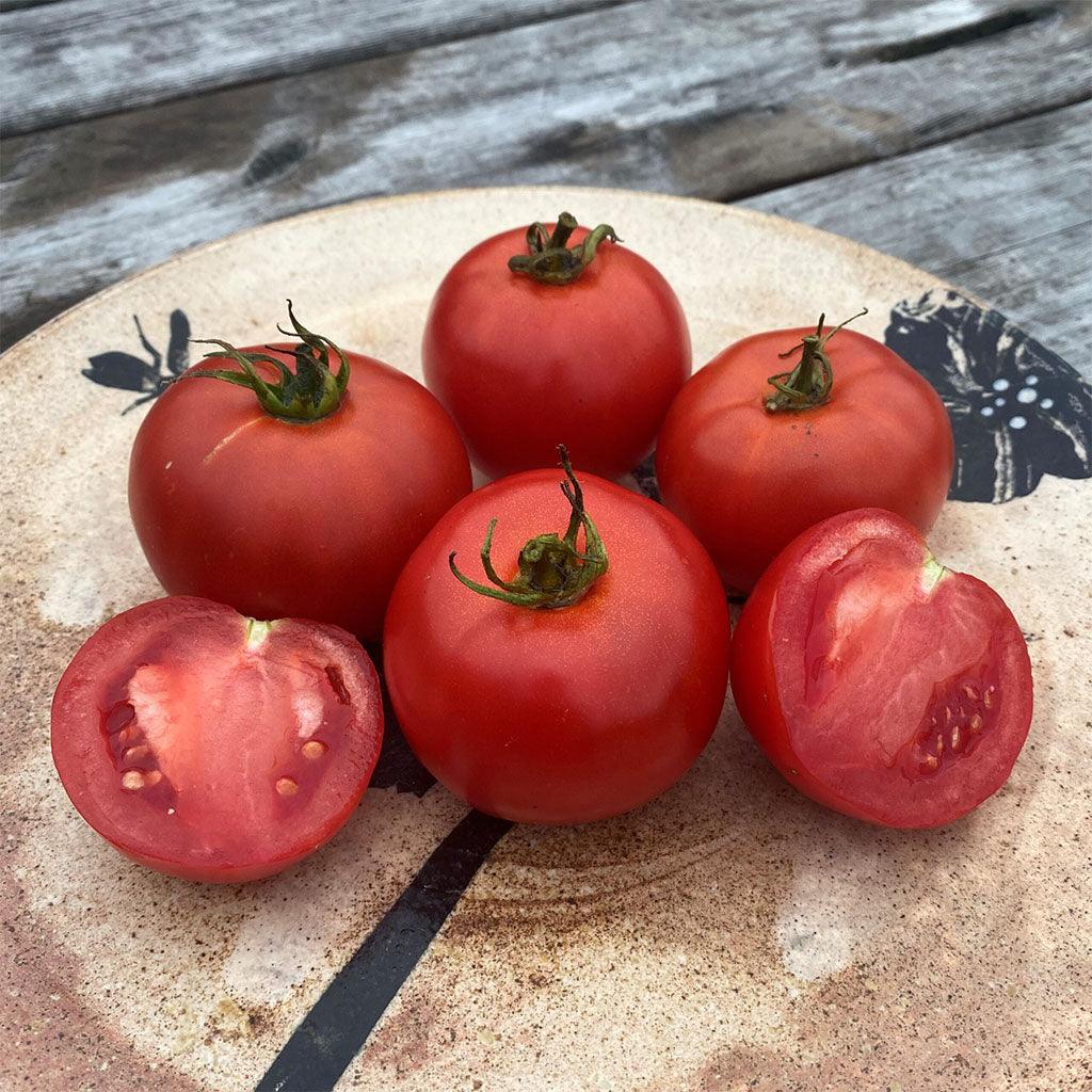 Tomate White Pour Biologique Les Jardins de l'Écoumène - La Boite à Grains