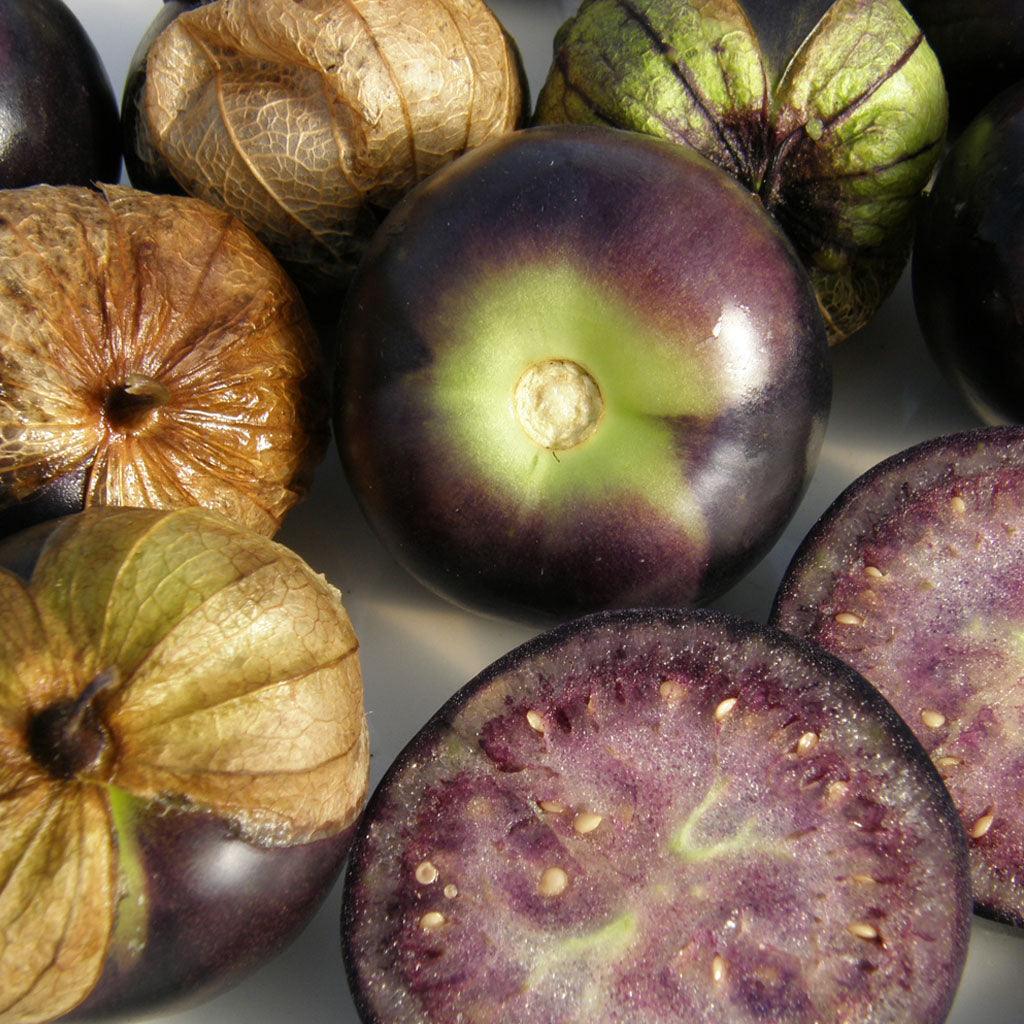 Tomatillo Purple Biologique Les Jardins de l'Écoumène - La Boite à Grains