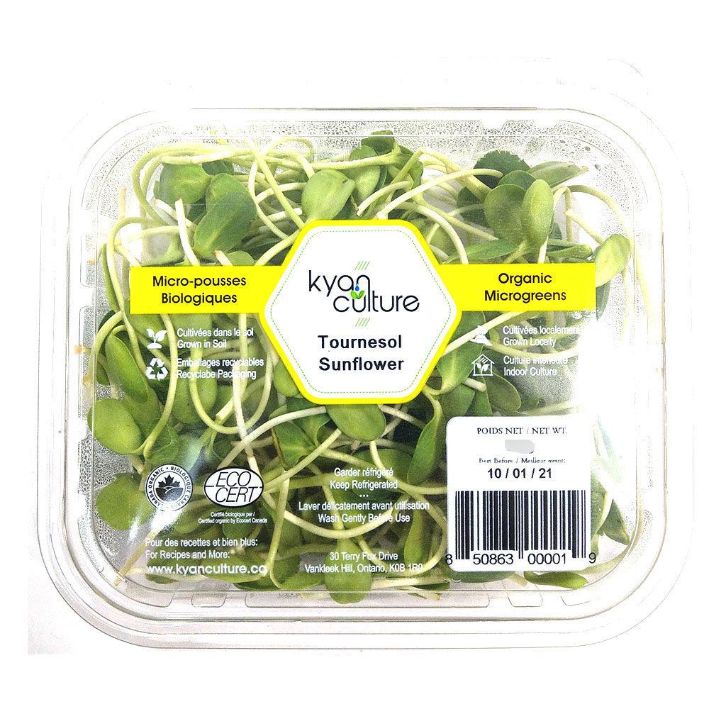 Tournesol Micro-pousses Biologiques Kyan Culture - La Boite à Grains